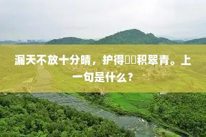 漏天不放十分晴，护得牂牁积翠青。上一句是什么？