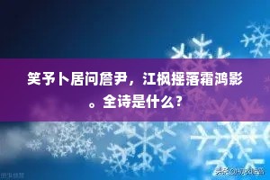 笑予卜居问詹尹，江枫摇落霜鸿影。全诗是什么？