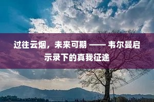 过往云烟，未来可期 —— 韦尔曼启示录下的真我征途