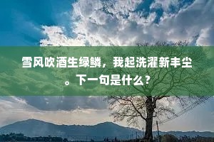 雪风吹酒生绿鳞，我起洗濯新丰尘。下一句是什么？
