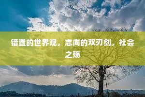 错置的世界观，志向的双刃剑，社会之殇