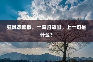 狂风忽吹散，一鸟归故国。上一句是什么？