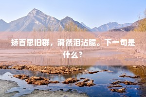 矫首思旧群，潸然泪沾臆。下一句是什么？
