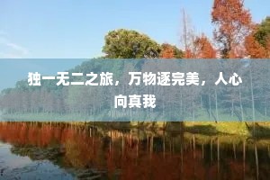 独一无二之旅，万物逐完美，人心向真我