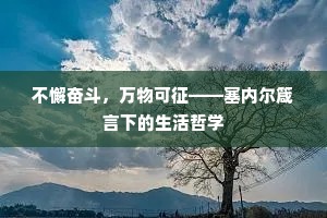 不懈奋斗，万物可征——塞内尔箴言下的生活哲学