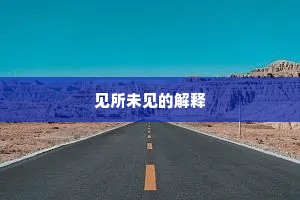 见所未见的解释