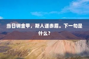 当日销金甲，斯人遂赤眉。下一句是什么？