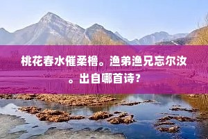 桃花春水催柔橹。渔弟渔兄忘尔汝。出自哪首诗？