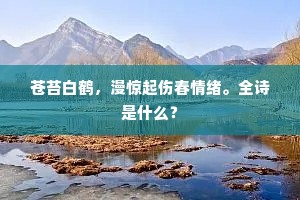 苍苔白鹤，漫惊起伤春情绪。全诗是什么？