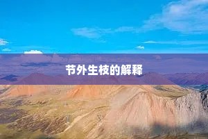 节外生枝的解释