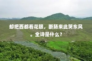 却把西都看花眼，断肠来此哭东风。全诗是什么？