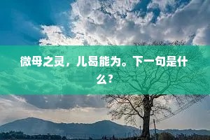 微母之灵，儿曷能为。下一句是什么？