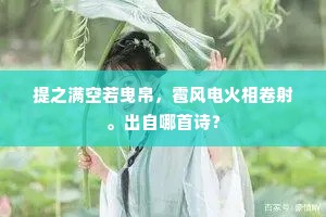 提之满空若曳帛，雹风电火相卷射。出自哪首诗？