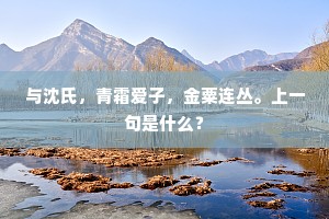与沈氏，青霜爱子，金粟连丛。上一句是什么？