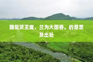 醴是贤王宠，兰为大国香。的意思及出处