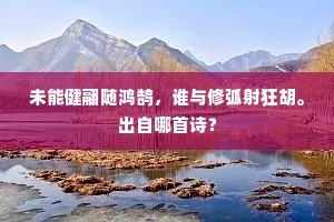 未能健翮随鸿鹄，谁与修弧射狂胡。出自哪首诗？