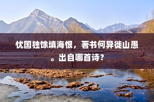 忧国独馀填海恨，著书何异徙山愚。出自哪首诗？