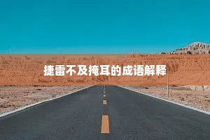 捷雷不及掩耳的成语解释