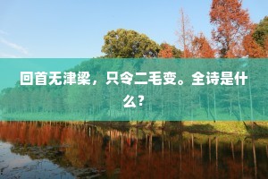 回首无津梁，只令二毛变。全诗是什么？