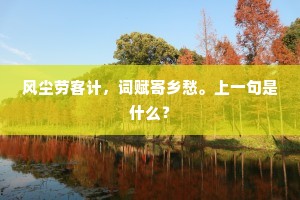 风尘劳客计，词赋寄乡愁。上一句是什么？