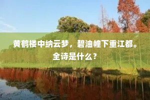 黄鹤楼中纳云梦，碧油幢下重江都。全诗是什么？