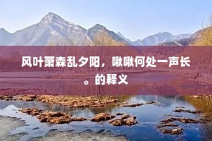风叶萧森乱夕阳，啾啾何处一声长。的释义