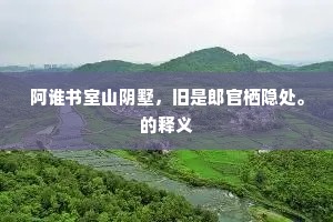 阿谁书室山阴墅，旧是郎官栖隐处。的释义