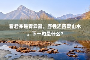 看君亦是青云器，野性还应爱山水。下一句是什么？