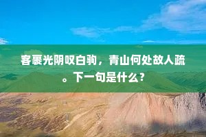 客裹光阴叹白驹，青山何处故人疏。下一句是什么？