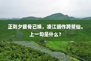 正则夕餐骨已换，凌江端作跨鳌仙。上一句是什么？