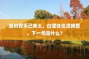 当时管乐已黄土，白璧往往遭蝇营。下一句是什么？