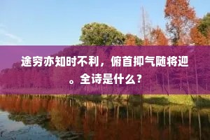 途穷亦知时不利，俯首抑气随将迎。全诗是什么？