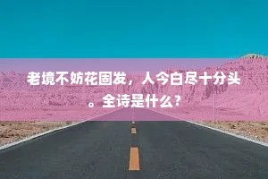 老境不妨花固发，人今白尽十分头。全诗是什么？
