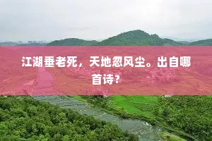 江湖垂老死，天地忽风尘。出自哪首诗？