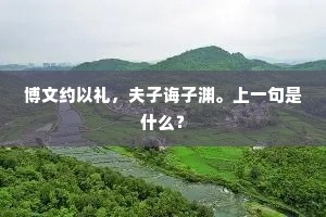 博文约以礼，夫子诲子渊。上一句是什么？