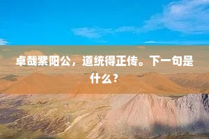 卓哉紫阳公,道统得正传。下一句是什么? 卓哉紫阳公,道统得正传。下一句是什么?