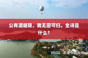 公有酒堪隐，我无田可归。全诗是什么？