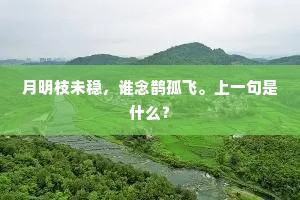 月明枝未稳，谁念鹊孤飞。上一句是什么？