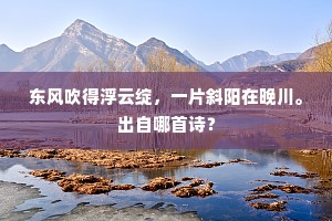 东风吹得浮云绽，一片斜阳在晚川。出自哪首诗？