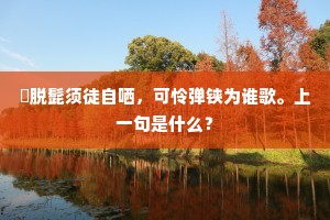 撚脱髭须徒自哂，可怜弹铗为谁歌。上一句是什么？