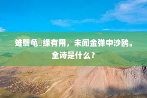 雉翳龟燋缘有用，未闻金弹中沙鸥。全诗是什么？
