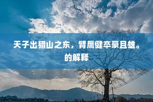 天子出猎山之东，臂鹰健卒豪且雄。的解释