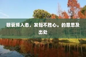 眼衰频入态，发短不胜心。的意思及出处