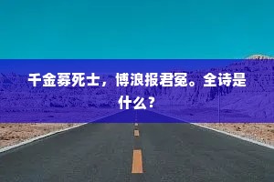 千金募死士，博浪报君冤。全诗是什么？