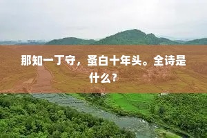 那知一丁守,蚤白十年头。全诗是什么? 那知一丁守,蚤白十年头。全诗是什么?