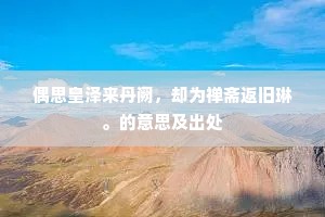 偶思皇泽来丹阙，却为禅斋返旧琳。的意思及出处