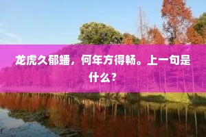 龙虎久郁蟠，何年方得畅。上一句是什么？