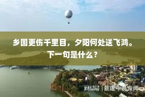 乡国更伤千里目，夕阳何处送飞鸿。下一句是什么？