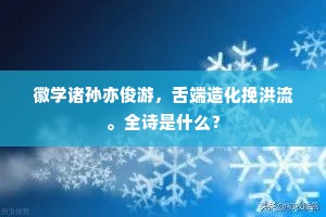 徽学诸孙亦俊游，舌端造化挽洪流。全诗是什么？