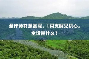 圣作诗书意甚深，廋词支解见机心。全诗是什么？